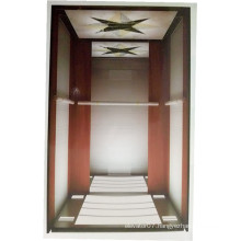 Fjzy-High Quality and Safety Home Lift Fjs-1601
